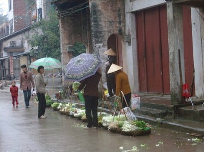 dongxing (4).jpg