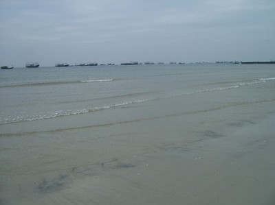 dongxing (7).jpg