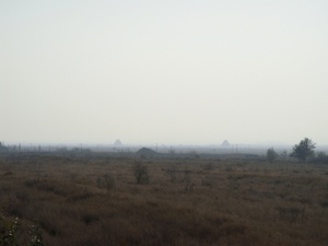ningxia.jpg