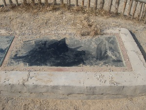ningxia8.jpg